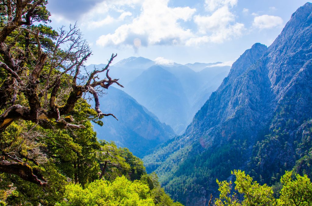 samaria-gorge-top-view-starting-point-for-solo-travellers-at-mistral-hotel-crete-greece