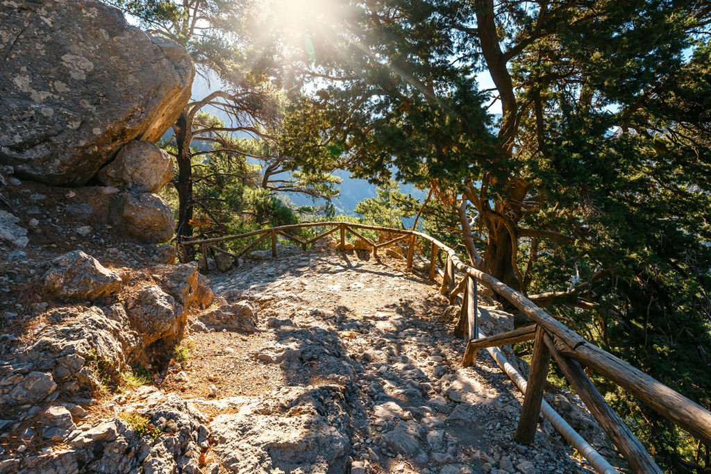 beautiful-path-to-walk-the-samaria-gorge-with-fellow-solo-travellers-from-the-mistral-hotel-crete-greece