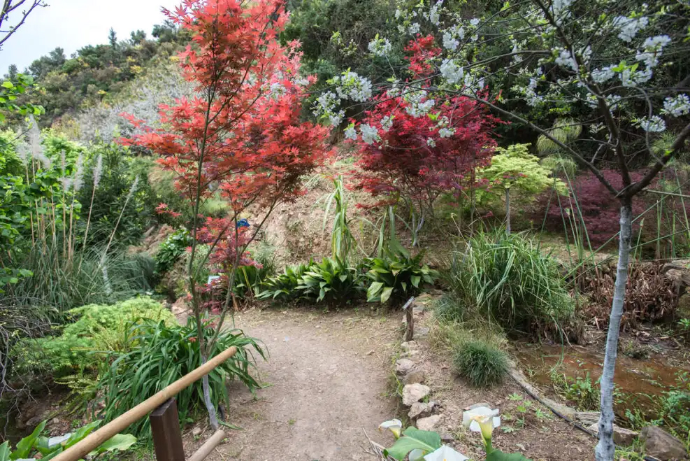 exotic-trees-and-plants-at-the-botanical-park-of-crete-enjoyable-activity-for-solo-travellers-at-mistral-hotel-greece