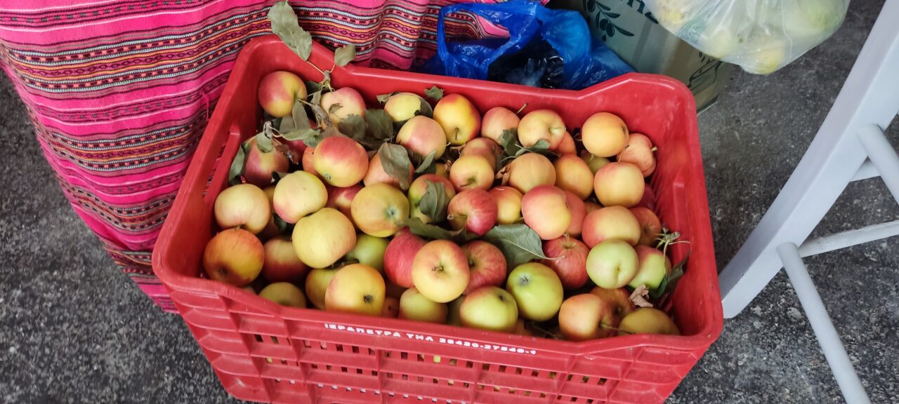 mountains-apples-from-farm-to-table-authentic-traditional-taverna-greece-crete-solo-holidays-mistral-hotel-singles
