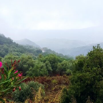 WHEN THE SUN DON’T SHINE WE HEAD FOR THE HILLS