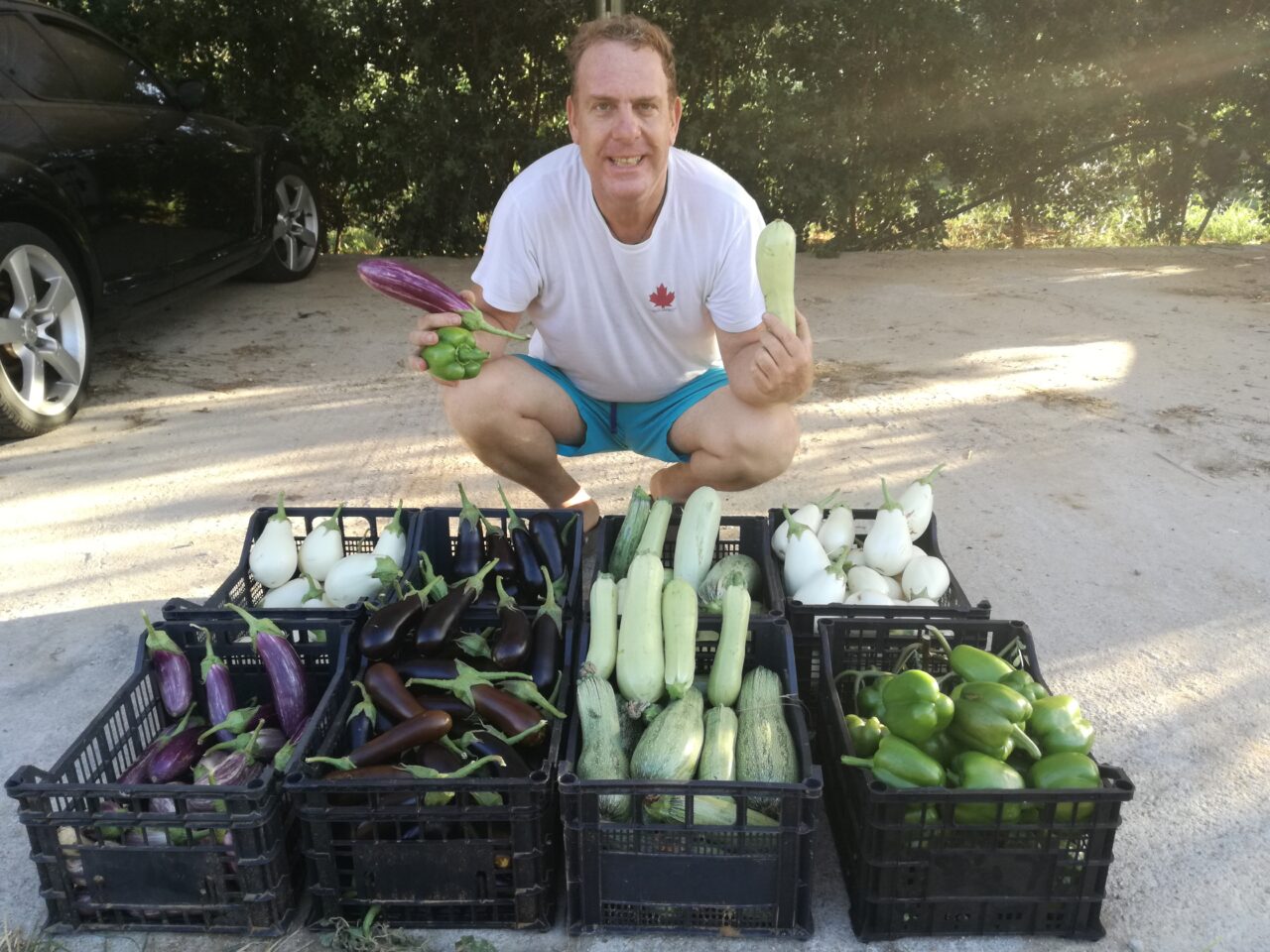 vegetables-from-the-garden-mistral-hotel-solo-travel-exclusive-singles-crete-greece