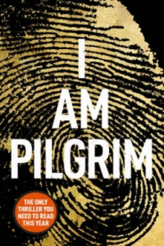 I Am Pilgrim by Terry Hayes